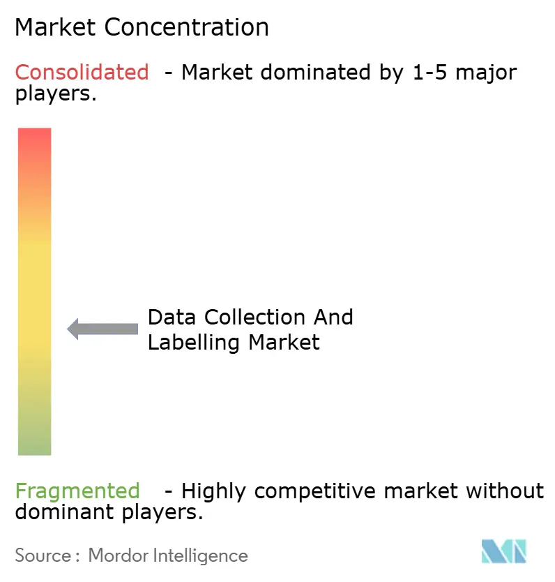 Data Collection And Labelling Market Concentration