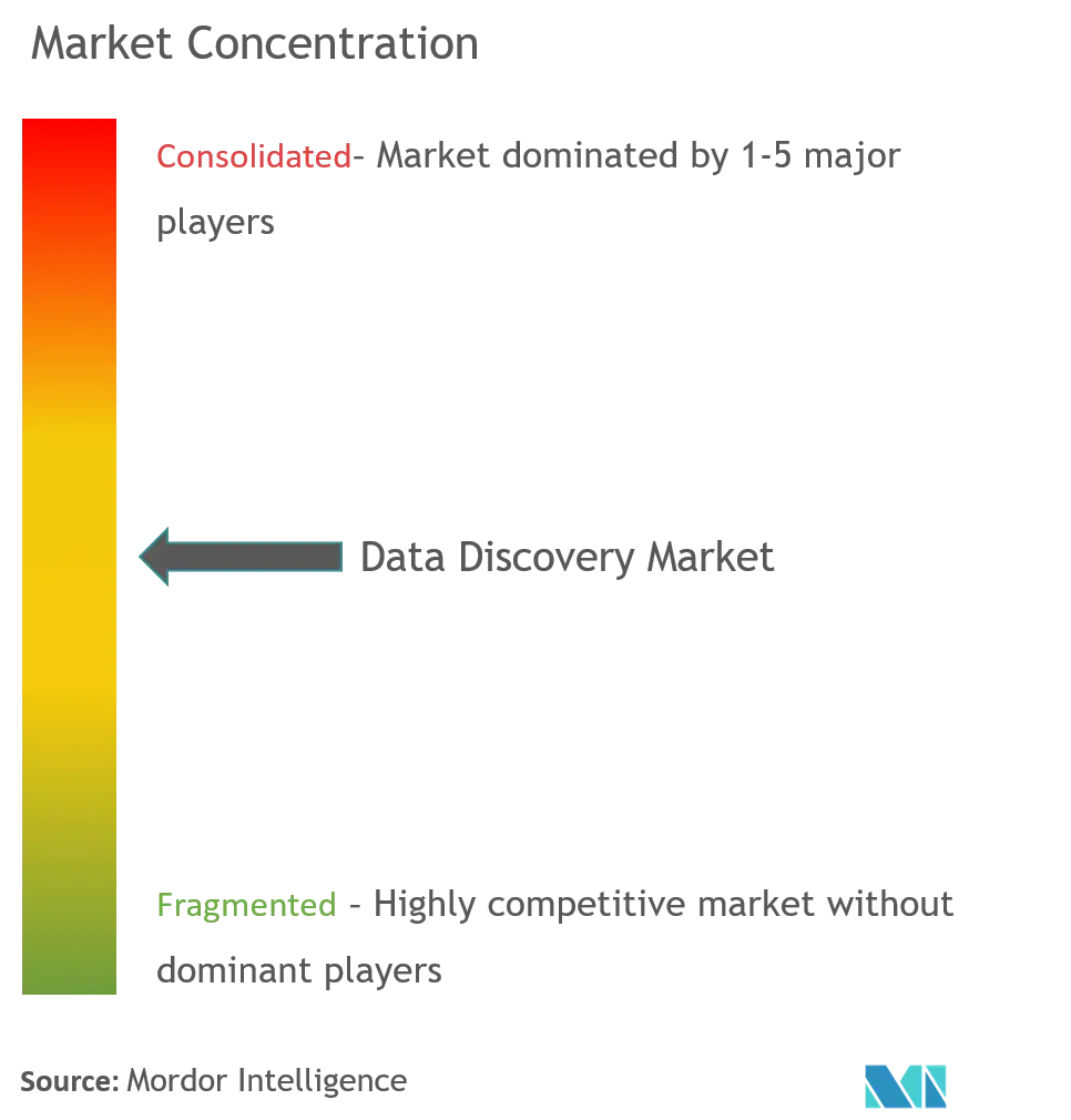 Data Discovery Market Concentration