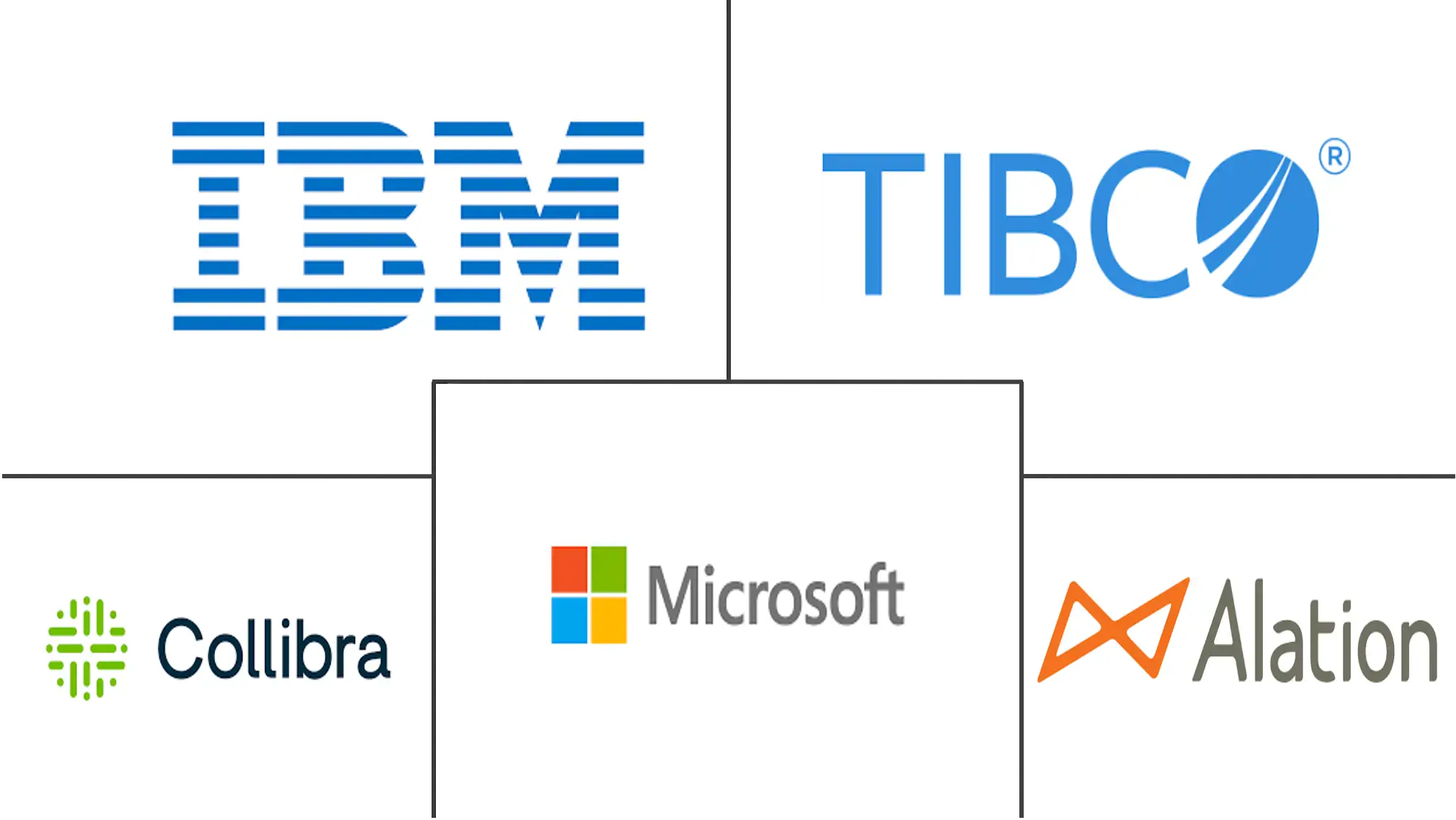 Major players in Data Governance industry