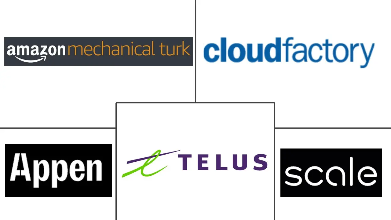 Major players in Data Labeling industry