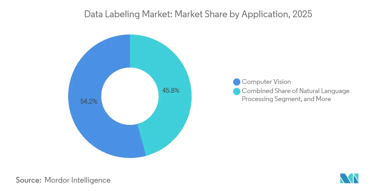 Data Labeling Market: Market Share by Application