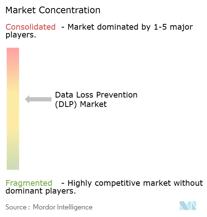 Data Loss Prevention (DLP) Market Concentration