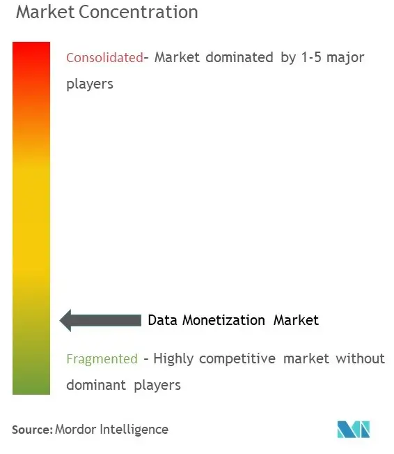 データ収益化市場の集中