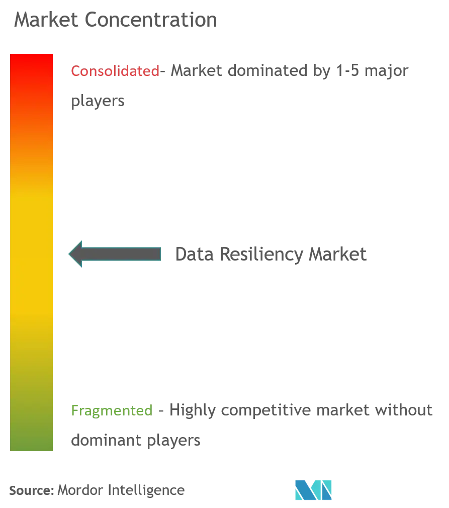 Data Resiliency Market Concentration