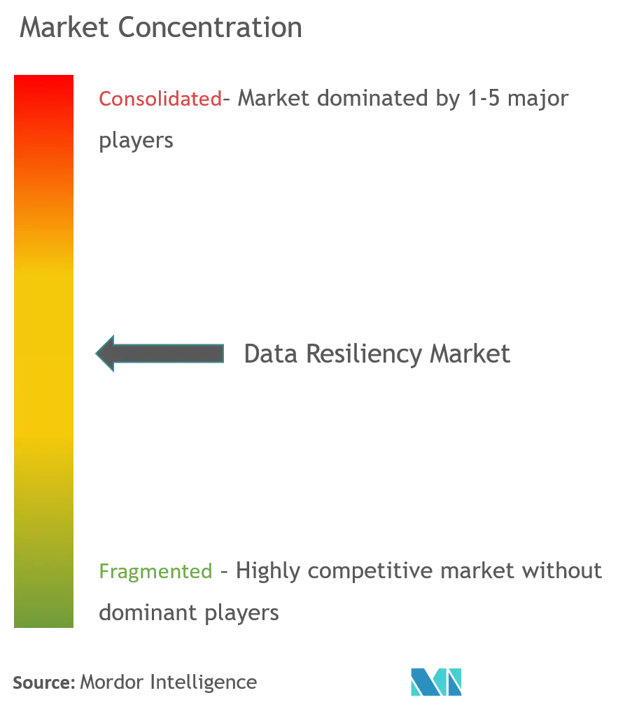 Concentración del mercado de resiliencia de datos