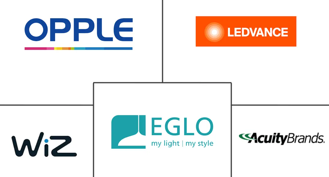 Major players in Decorative Lighting industry