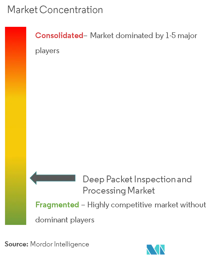 Deep Packet Inspection and Processing Market Concentration