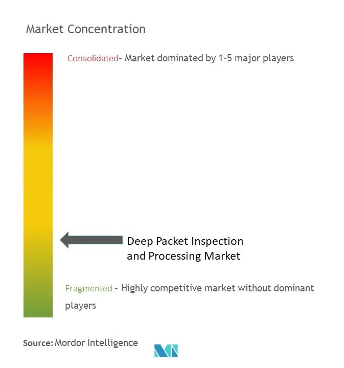 Deep Packet Inspection And Processing Market Concentration