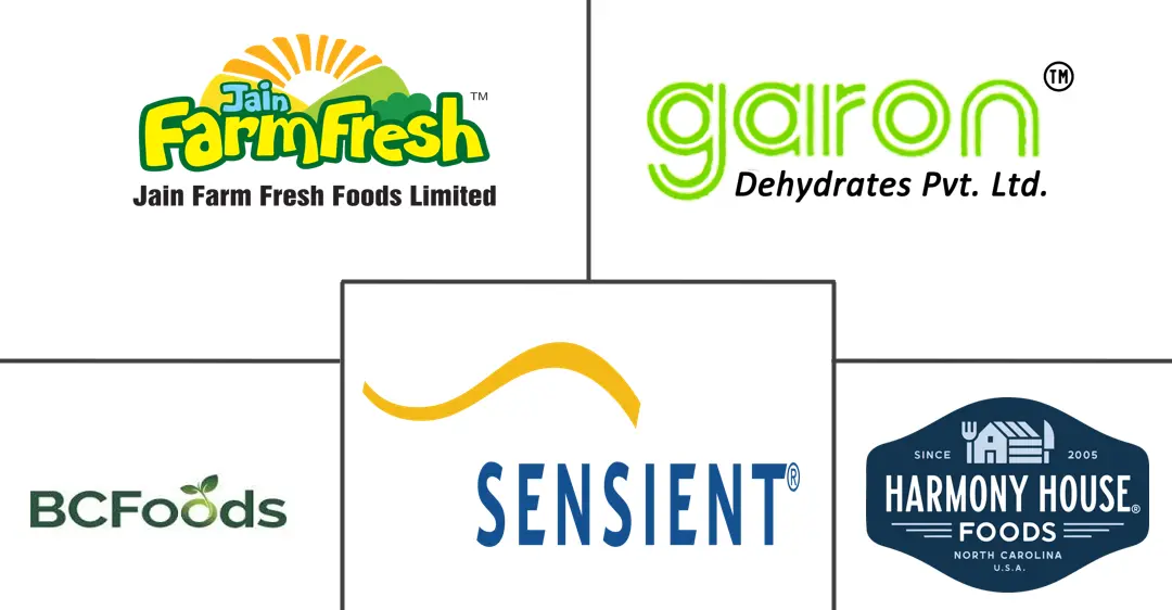 Major players in Dehydrated Vegetables industry