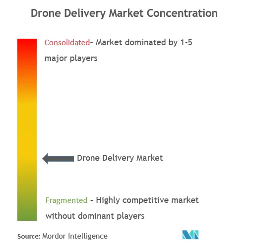 Delivery Drones Market Concentration