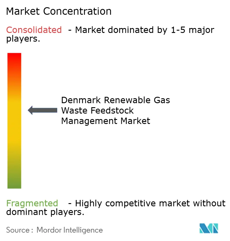 Denmark Renewable Gas Waste Feedstock Management Market Concentration
