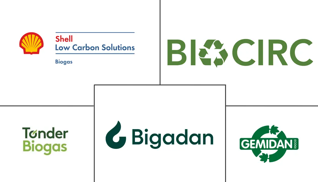 Major players in Denmark Renewable Gas Waste Feedstock Management industry