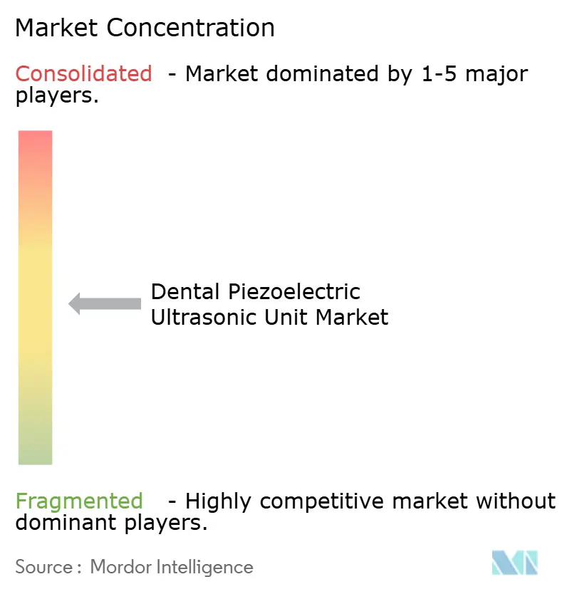 Dental Piezoelectric Ultrasonic Unit Market Concentration
