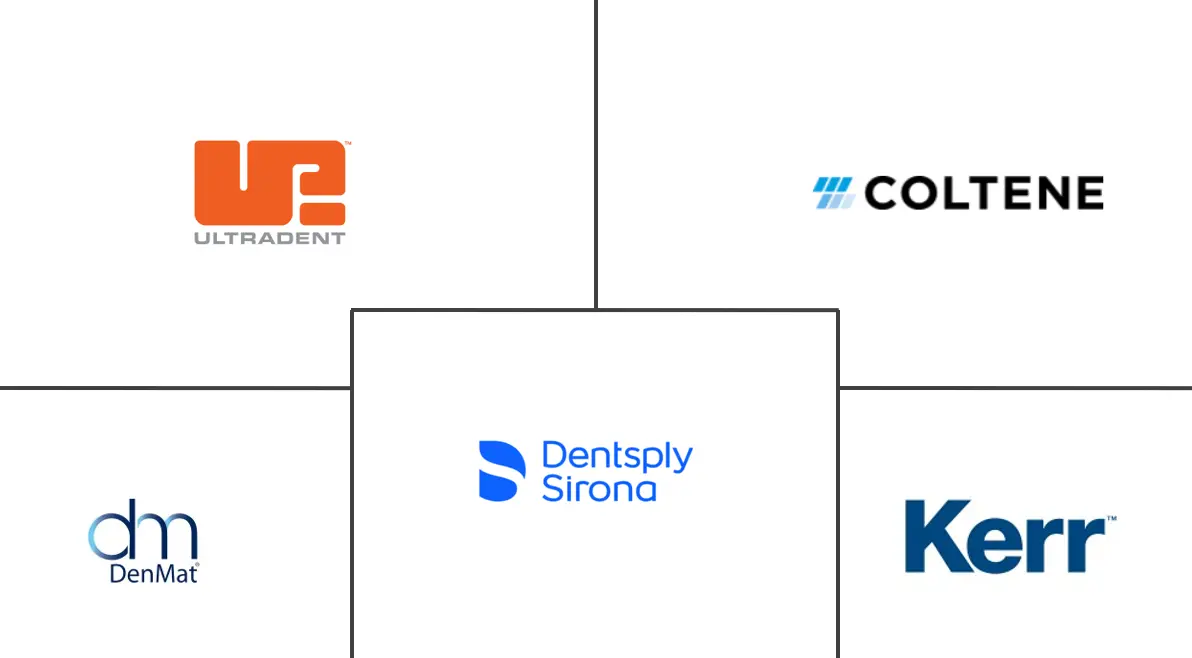 Major players in Dental Piezoelectric Ultrasonic Unit industry
