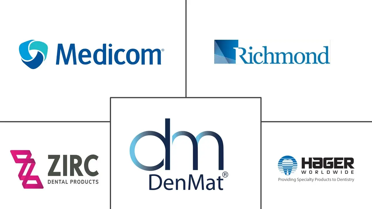 Major players in Dental Suction Mirror industry