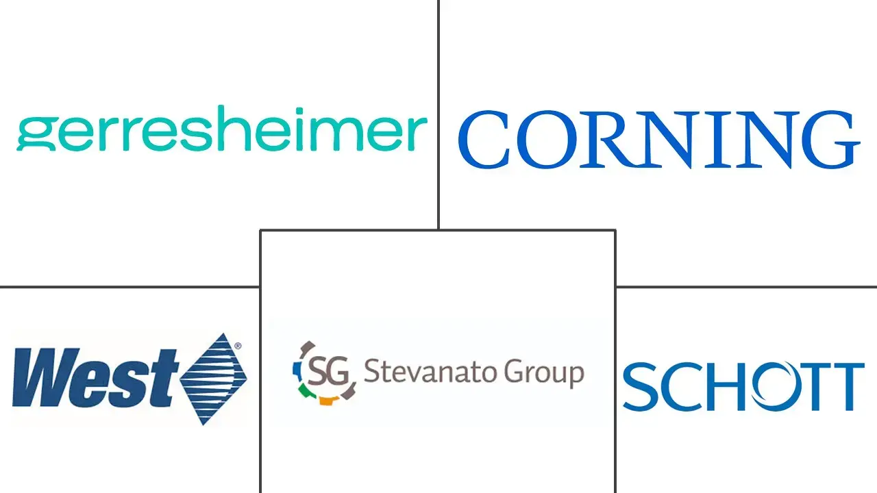 Major players in Depyrogenated Sterile Empty Vials industry