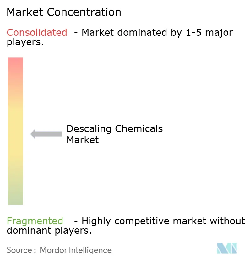Descaling Chemicals Market Concentration