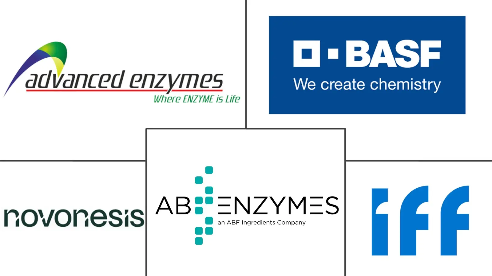Major players in Detergent Enzymes industry