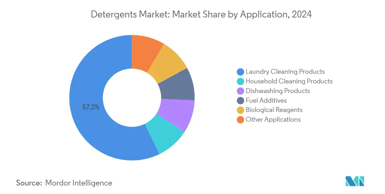 Detergents Market: Market Share by Application