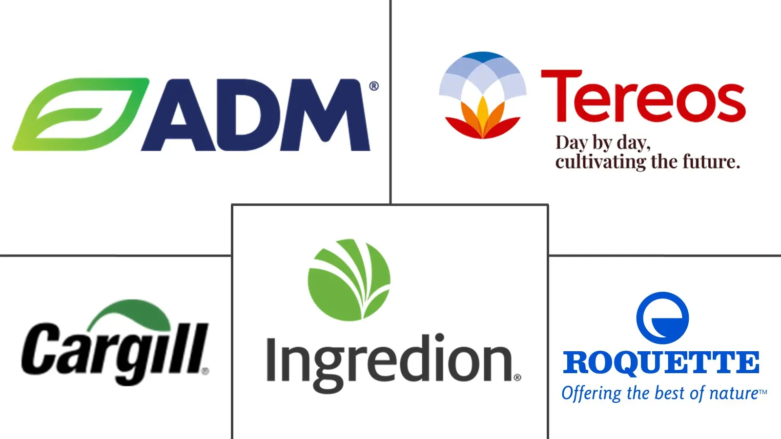 Major players in Dextrose industry