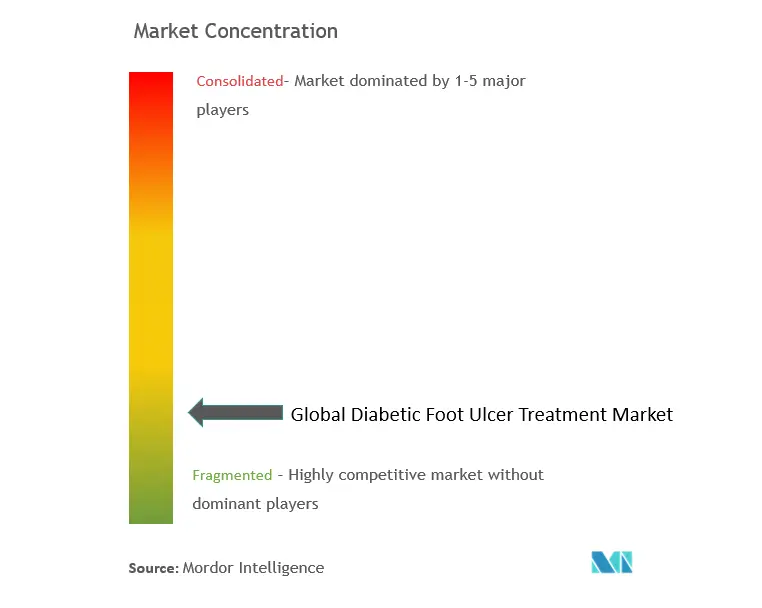 Diabetic Foot Ulcer Treatment Market Concentration