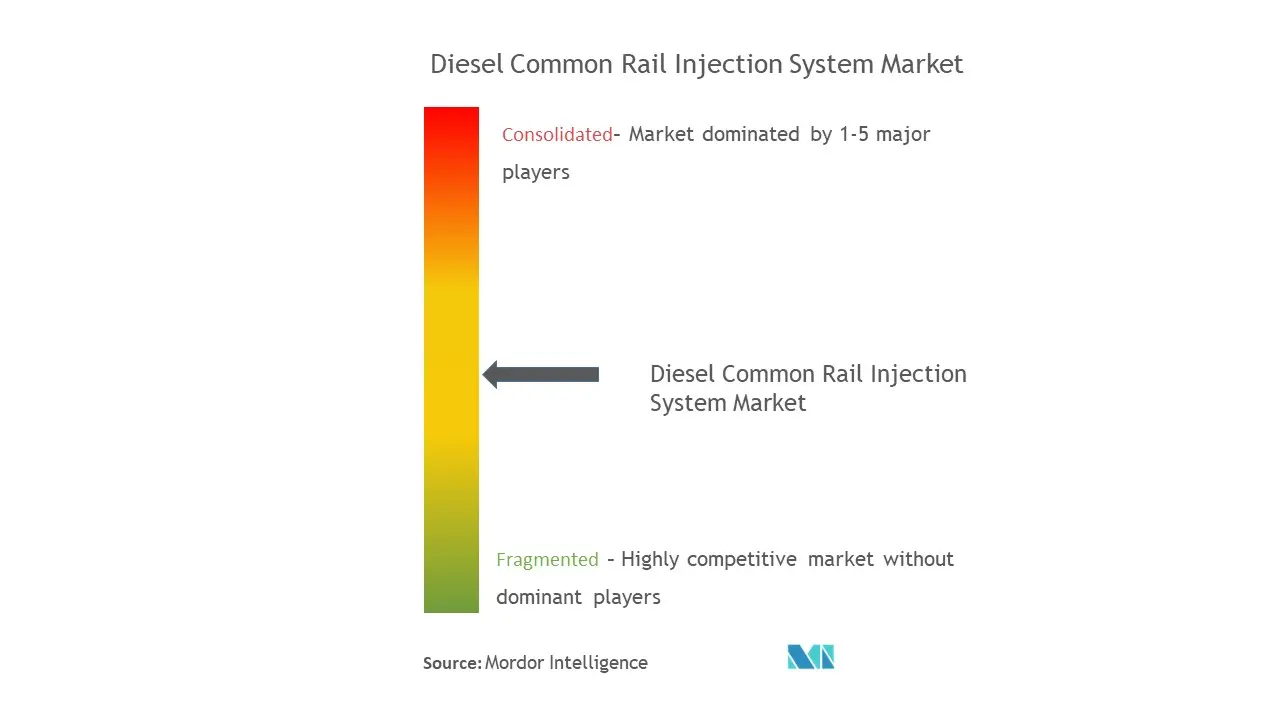Diesel Common Rail Injection System Market Concentration