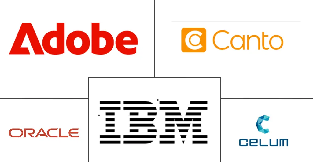 Major players in Digital Asset Management industry