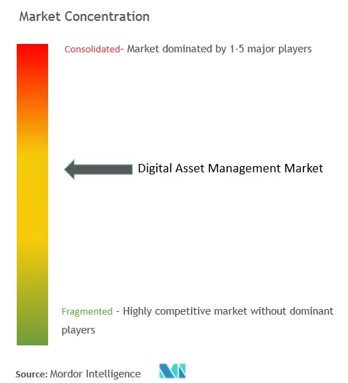Concentração do mercado de gestão de ativos digitais