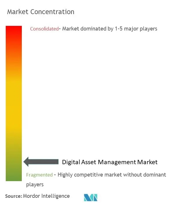 Digital Asset Management Market Concentration