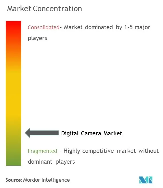 تركيز سوق الكاميرات الرقمية