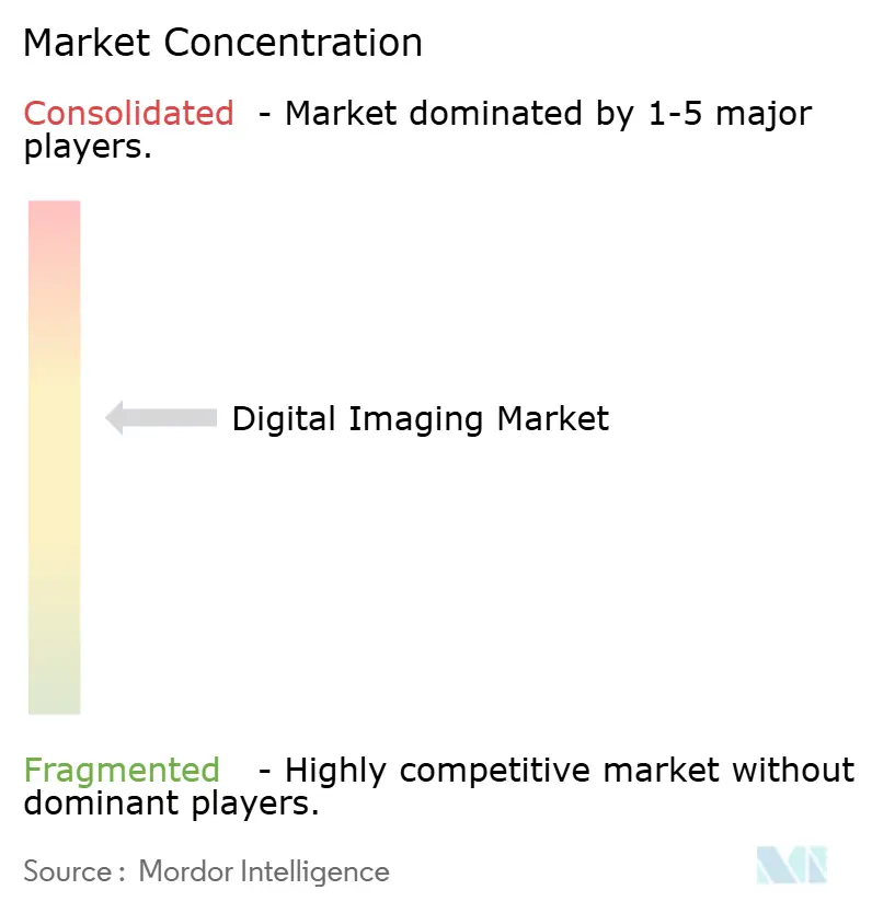 Digital Imaging Market Concentration