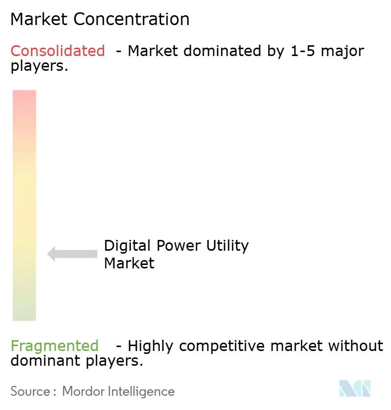 Digital Power Utility Market Concentration