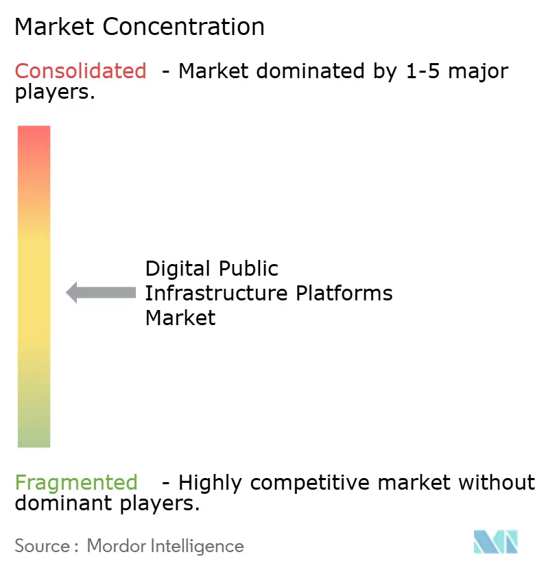 Digital Public Infrastructure Platforms Market Concentration