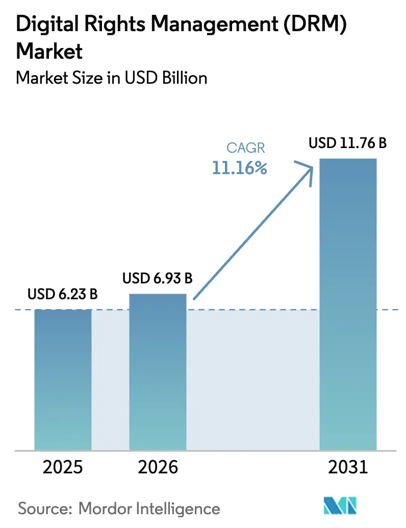Digital Rights Management (DRM) Market (2025 - 2030)