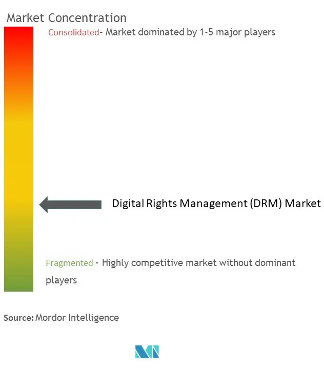 デジタル著作権管理 (DRM)市場集中度