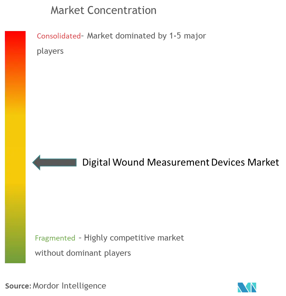 Digital Wound Measurement Devices Market Concentration.png