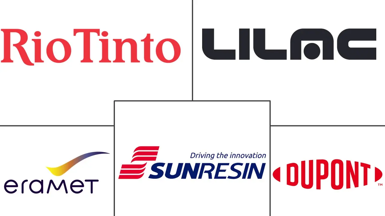 Major players in Direct Lithium Extraction Functional Materials industry
