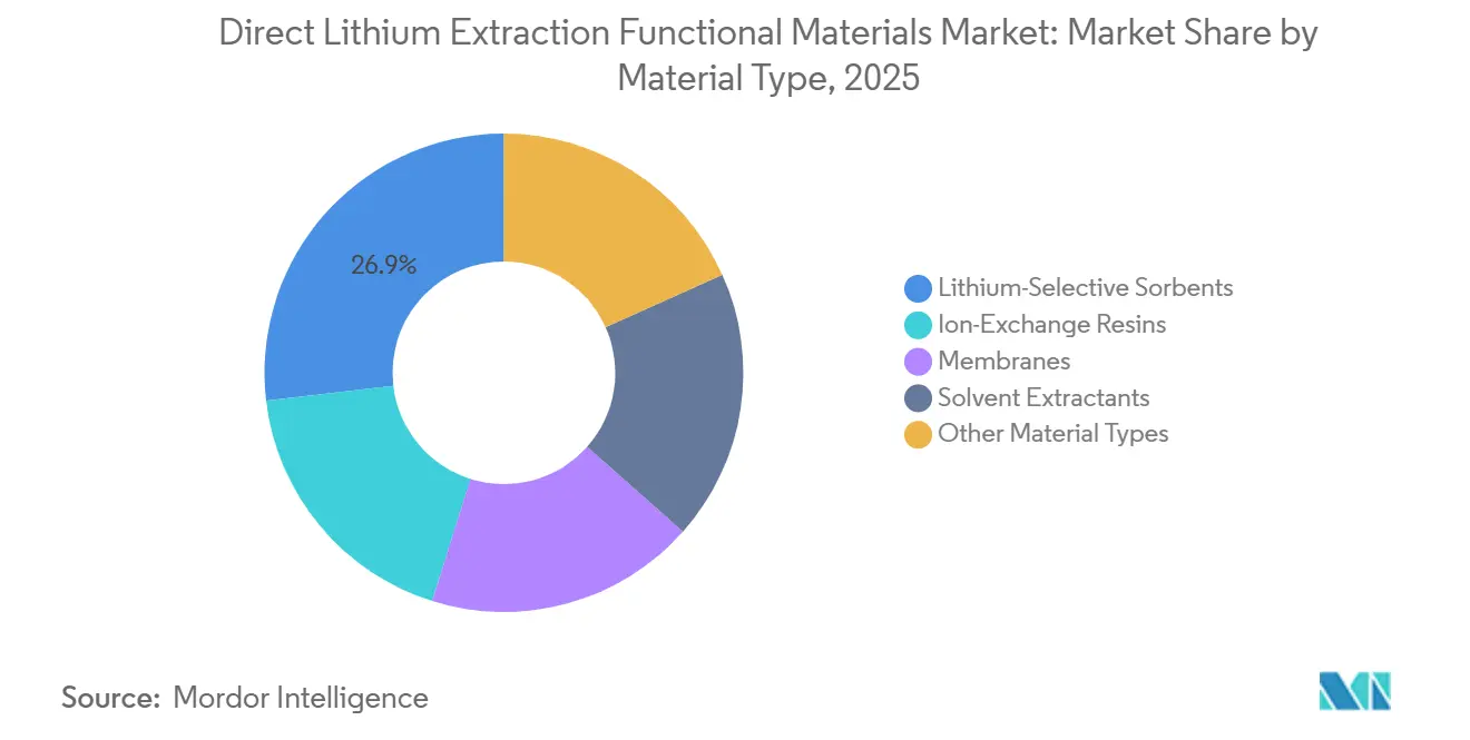 Direct Lithium Extraction Functional Materials Market Share by Material Type, 2025
