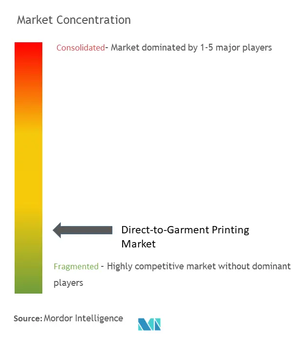 Direct-to-Garment Printing Market Concentration