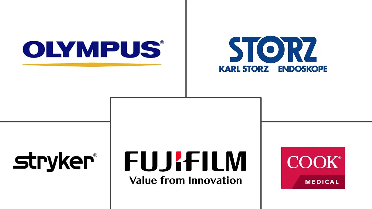 Major players in Disposable Ureteroscope industry