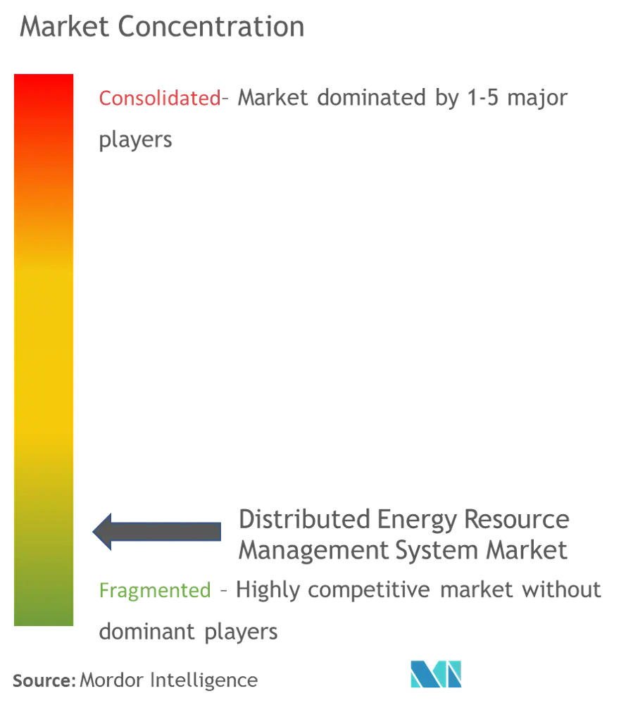 Distributed Energy Resource Management System Market Concentration