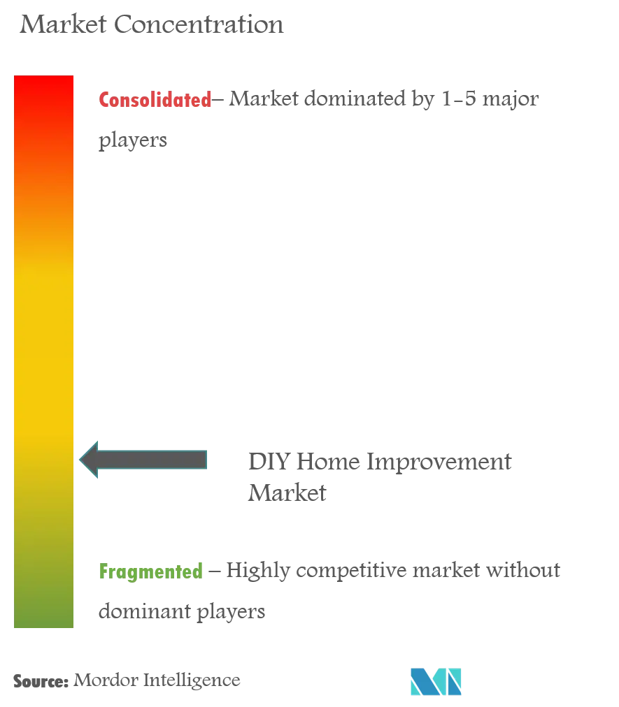 DIY Home Improvement Market Concentration