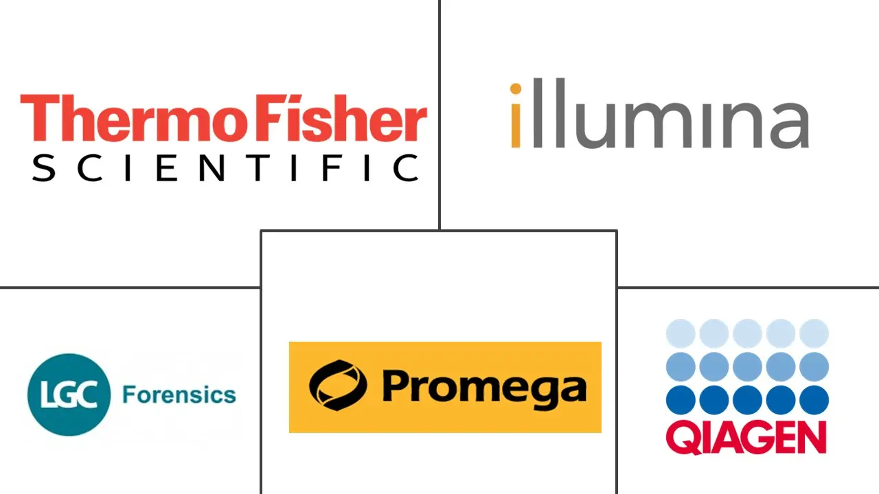 Related Companies Logo