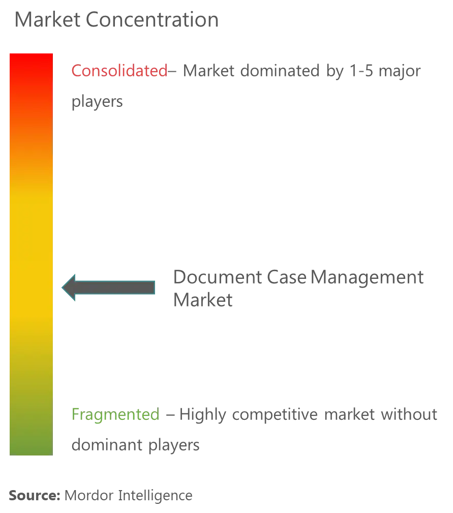 Document Case Management Market Concentration