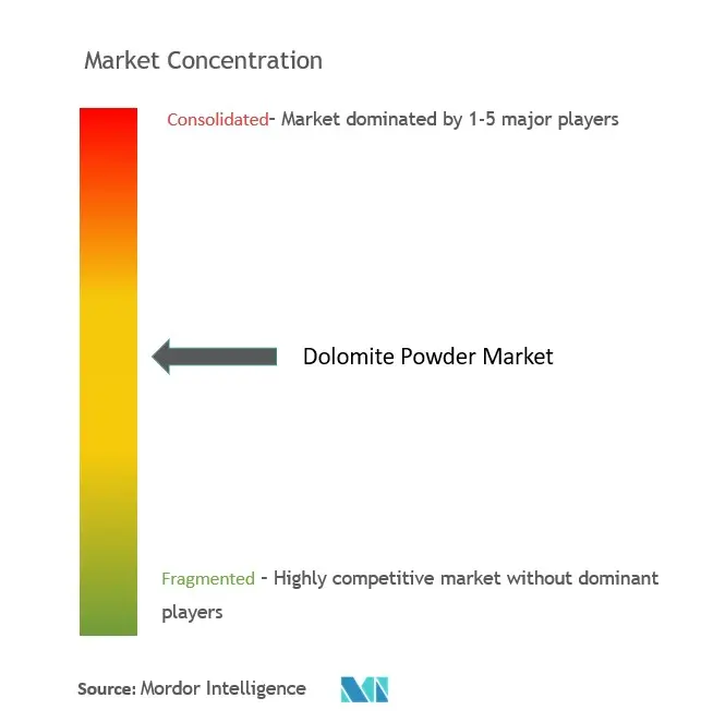 Dolomite Powder Market Concentration