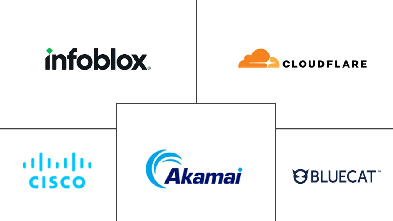 Major players in Domain Name System Firewall industry