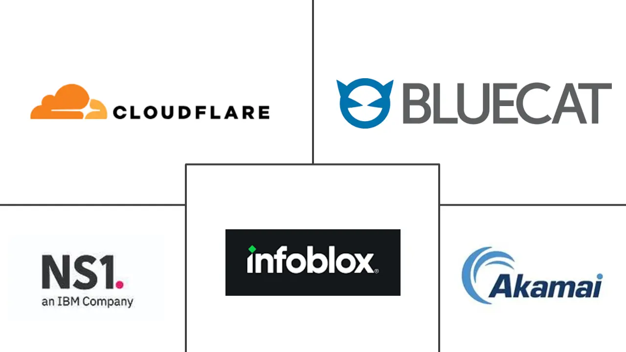 Major players in Domain Name System Tools industry