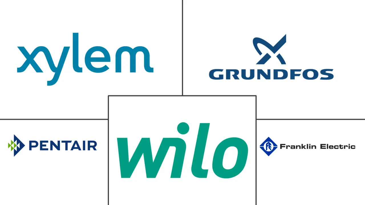 Major players in Domestic Booster Pump industry