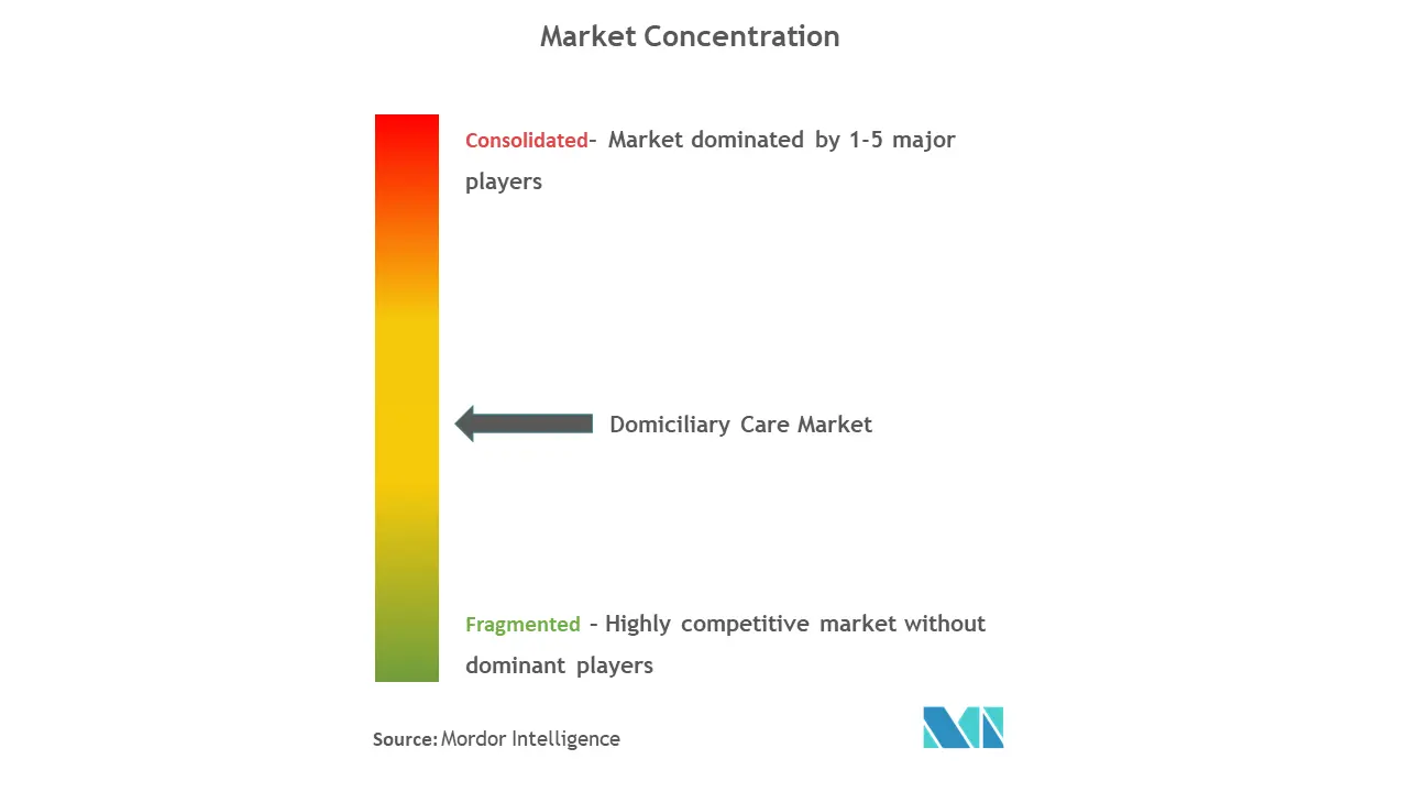 Domiciliary Care  Market Concentration