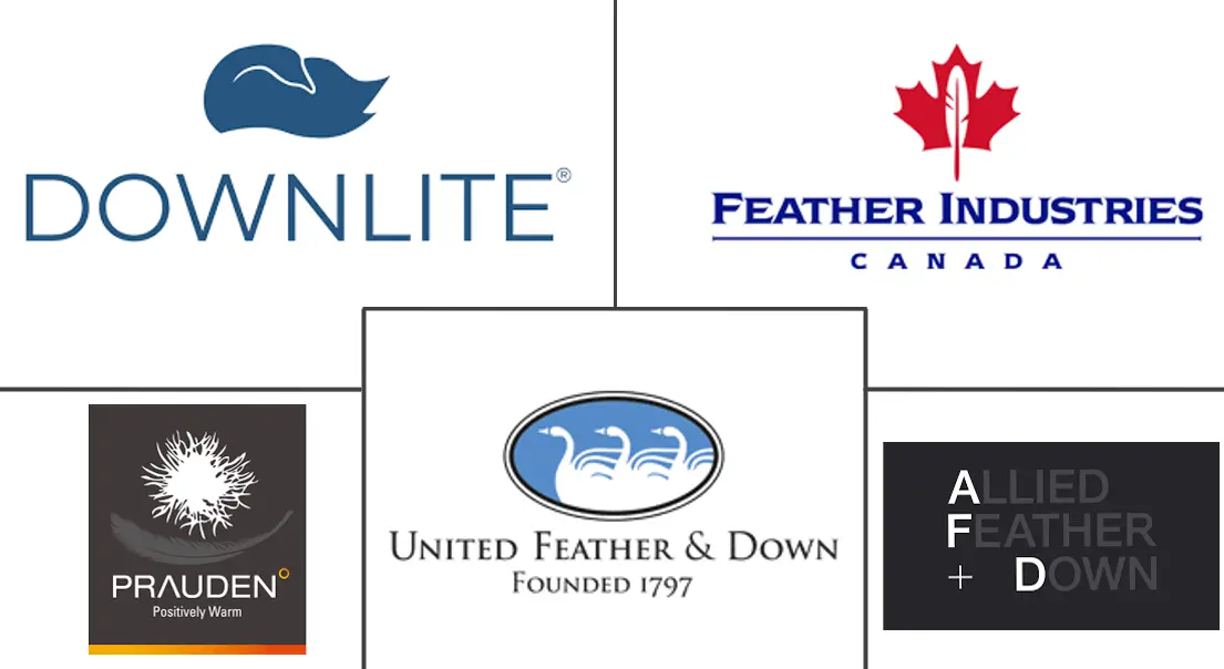 Major players in Down and Feather industry